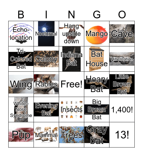 BAT BINGO! Bingo Card