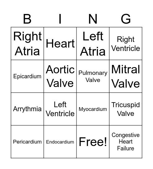 Heart Anatomy Bingo Card
