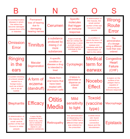 Words of the Day Bingo Card