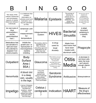 Words of the Day Bingo Card