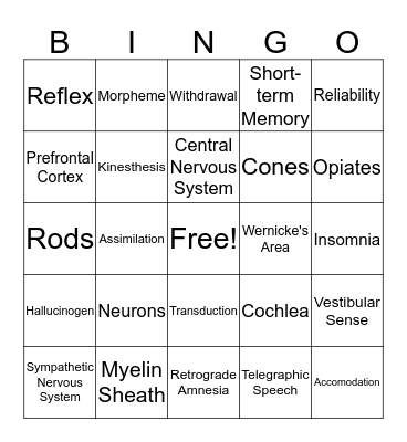 Psych 1: Bingo Card