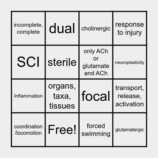 Seminar 4 - BINGO Card