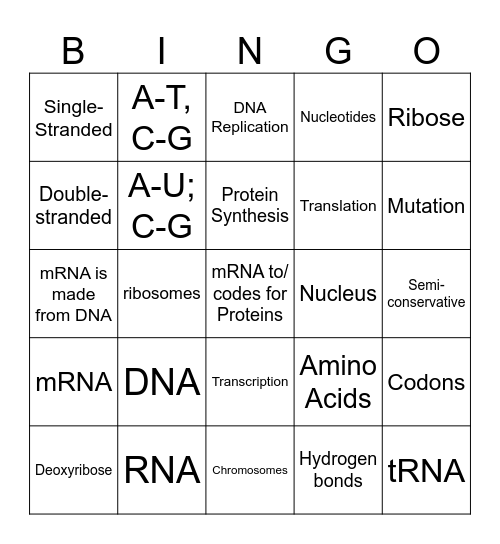 DNA, RNA and Protein Synthesis Bingo Card