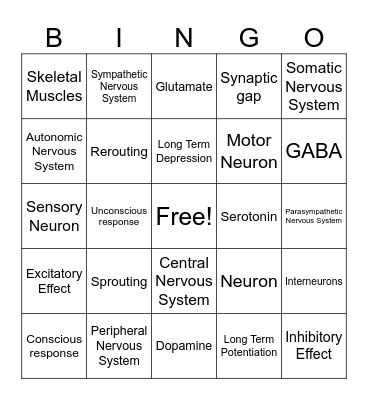 Chapter 2: Nervous System Functioning Review Bingo Card