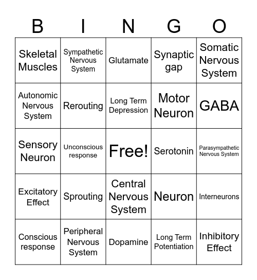 Chapter 2: Nervous System Functioning Review Bingo Card