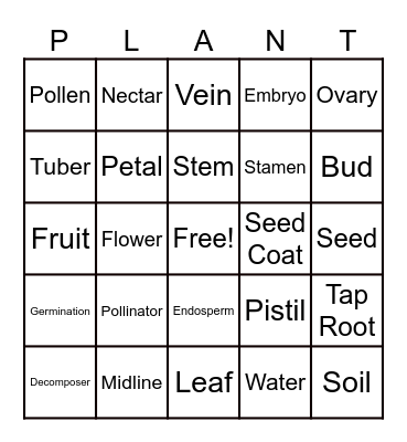 Plants, plants, plants! Bingo Card