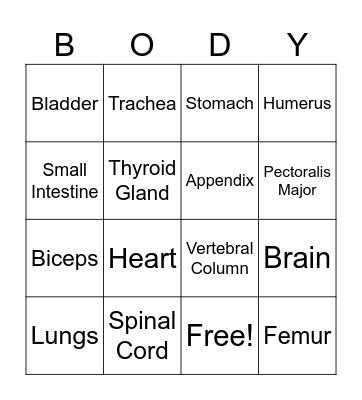 Human Body Bingo! Bingo Card