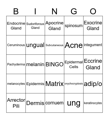 Integumentary System  Bingo Card