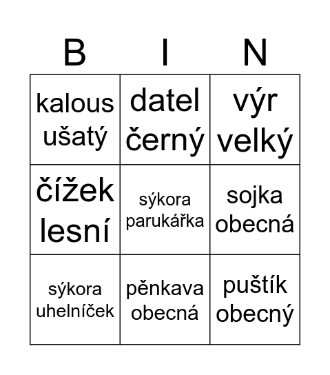 Ptáci v lese Bingo Card
