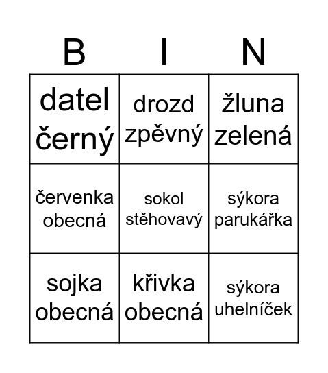 Ptáci v lese Bingo Card