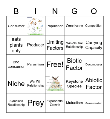 Ecological Relationships LT Bingo Card