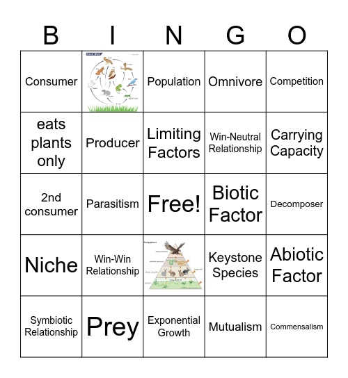 Ecological Relationships LT Bingo Card