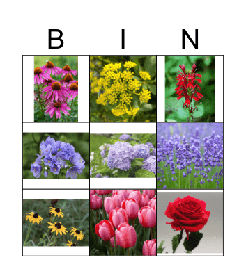 Chicago Native Flowers Bingo Card
