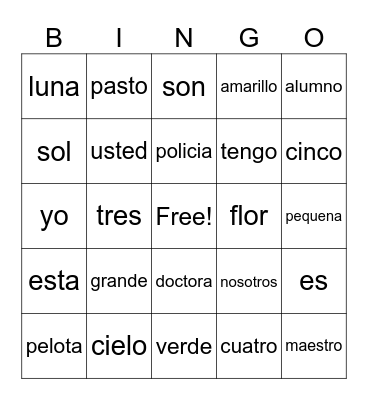 Spanish Vocabulary 1.3 Bingo Card