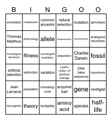 Evolution Bingo 1 Bingo Card