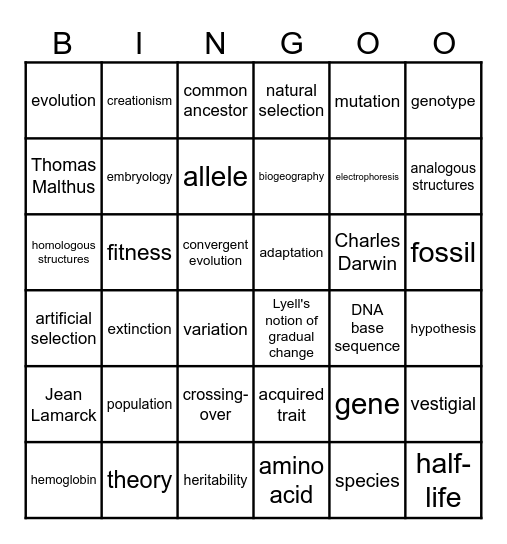 Evolution Bingo 1 Bingo Card