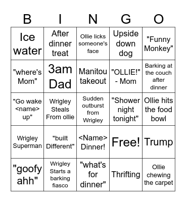 Family Bingo Card