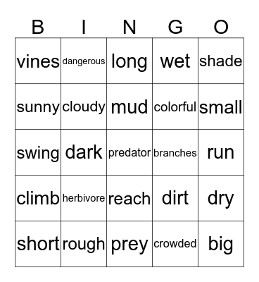 Descriptive BINGO Card