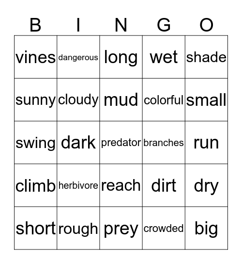 Descriptive BINGO Card