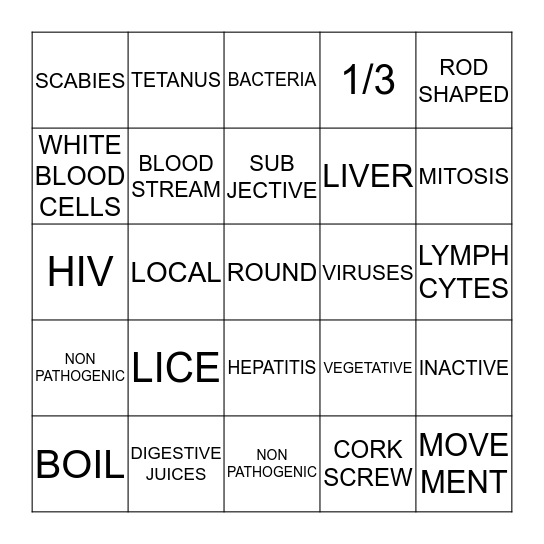 CHAPTER 4 TEST REVIEW Bingo Card