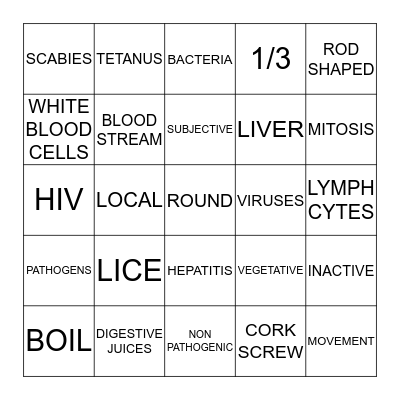 CHAPTER 4 TEST REVIEW Bingo Card