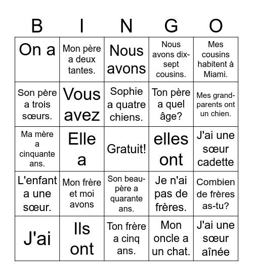 Avoir/ La Famille Bingo Card