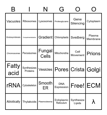 Cells and Organelles Bingo Card