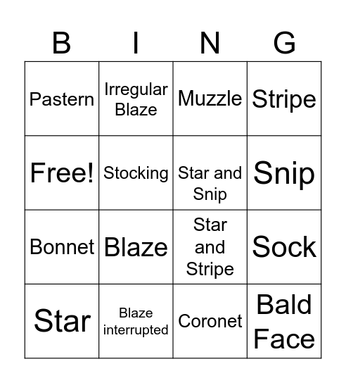 Equine Markings Bingo Card
