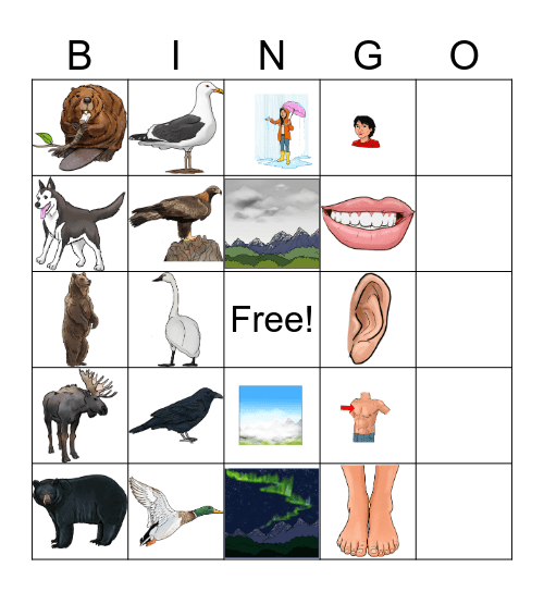 Dinjii Zhuh K'yuu Bingo Card