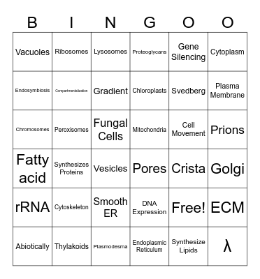 Chapter 4 | Cells & Organelles Bingo Card