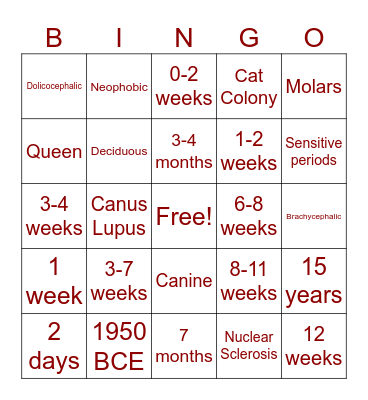 Companion Animal BINGO Card