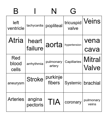 The Circulatory system Bingo Card