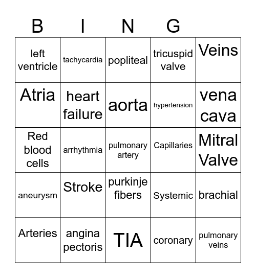 The Circulatory system Bingo Card