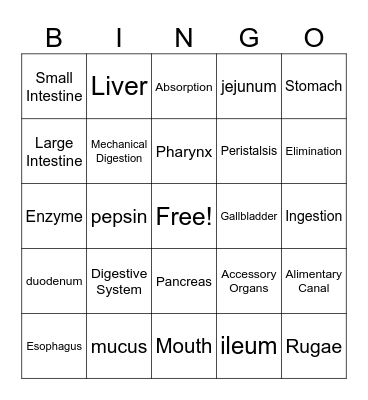 Digestive System Bingo Card