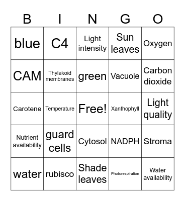 Plant physiology Bingo Card