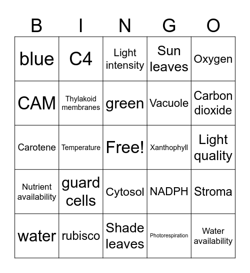 Plant physiology Bingo Card