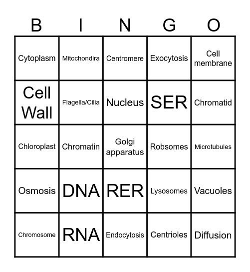 Organelle bingo Card