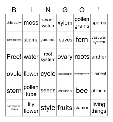 Science 6 Bingo Card