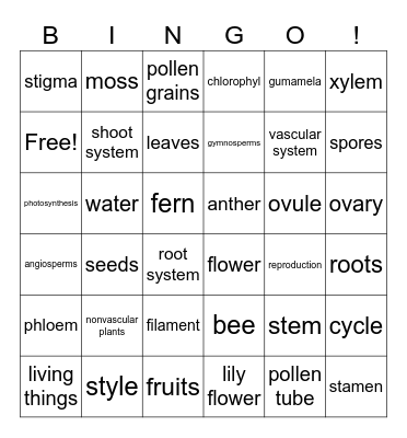 Science 6 Bingo Card