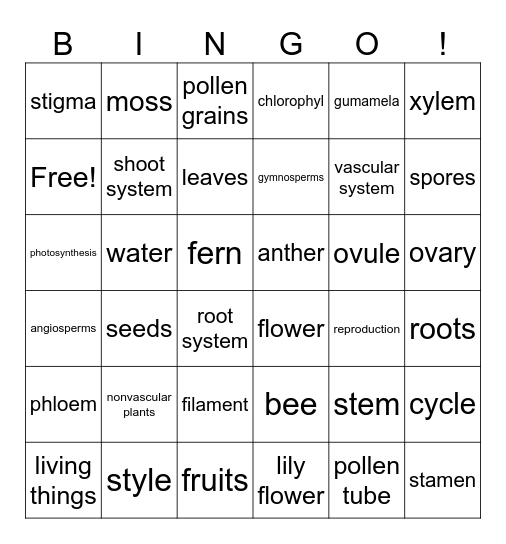 Science 6 Bingo Card
