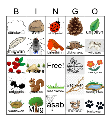 Nature Bingo Card