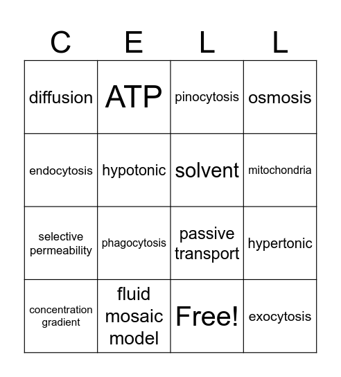 Cell Transport BINGO Card