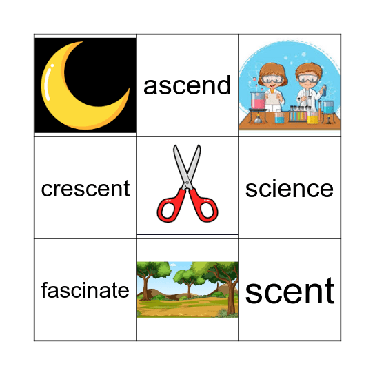 Silent c Bingo Card