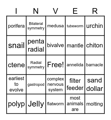Invertebrate Bingo - Ashenfelter Bingo Card