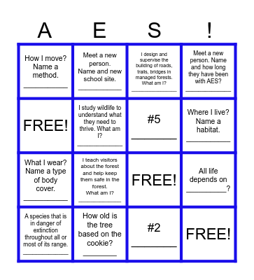 Scavenger Hunt Bingo Card