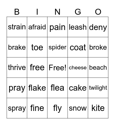Long Vowels Bingo Card