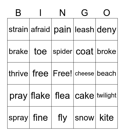 Long Vowels Bingo Card