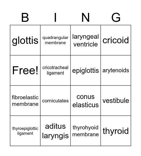 BINGO for ligaments/membranes and cartilages and cavities Bingo Card