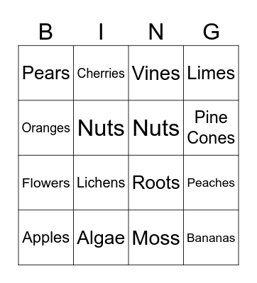 Things That Grow on Trees Bingo Card