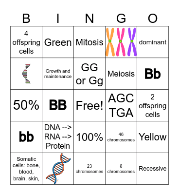 Mitosis, Meiosis, and Heredity Bingo Card